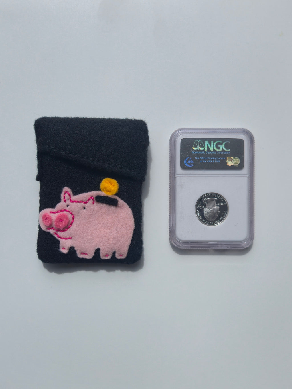 Clab Sleeve (Piggy Bank)